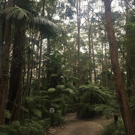 Springbrook Mountain Chalets ภายนอก รูปภาพ