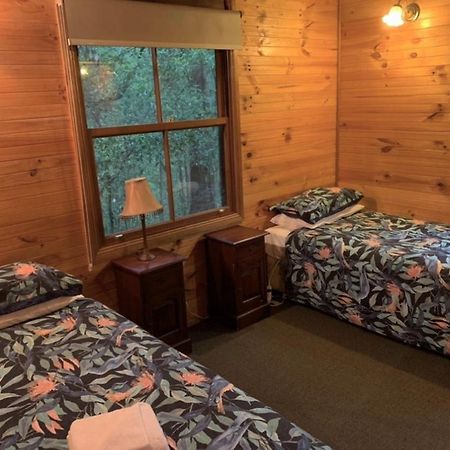 Springbrook Mountain Chalets ภายนอก รูปภาพ