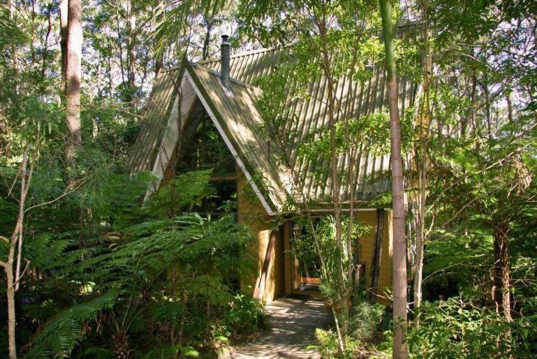 Springbrook Mountain Chalets ห้อง รูปภาพ