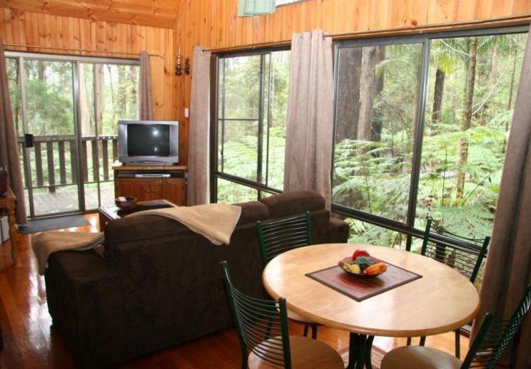 Springbrook Mountain Chalets ห้อง รูปภาพ
