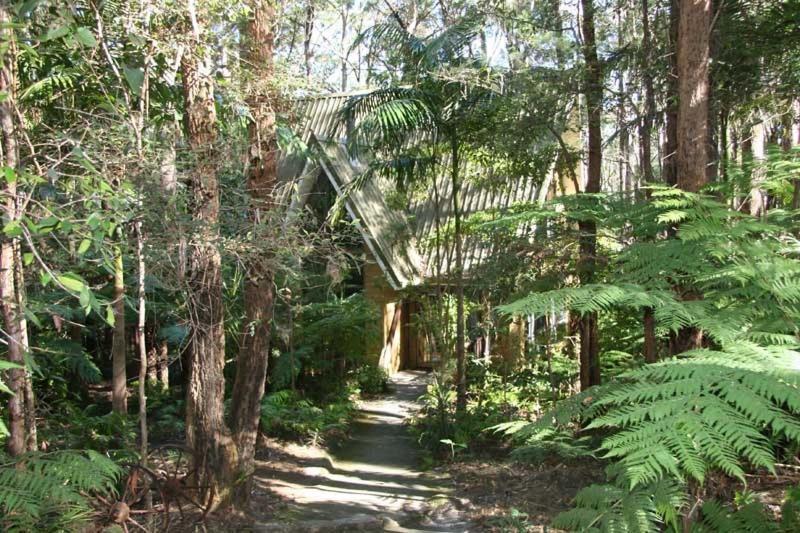 Springbrook Mountain Chalets ห้อง รูปภาพ