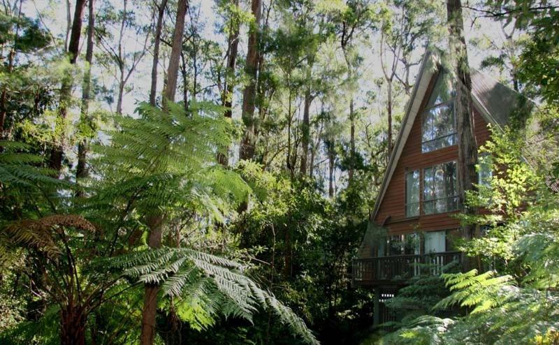 Springbrook Mountain Chalets ภายนอก รูปภาพ