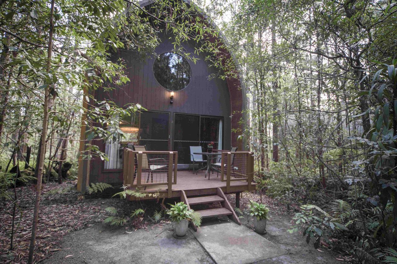 Springbrook Mountain Chalets ห้อง รูปภาพ