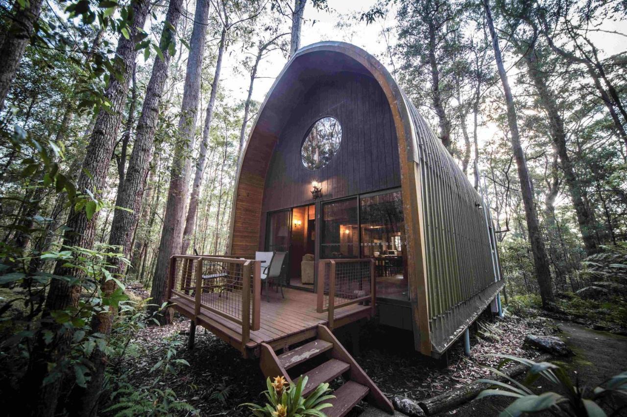 Springbrook Mountain Chalets ภายนอก รูปภาพ